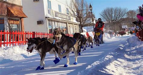 Lack Of Snow Cancels Longest Sled Dog Race In Eastern Us The