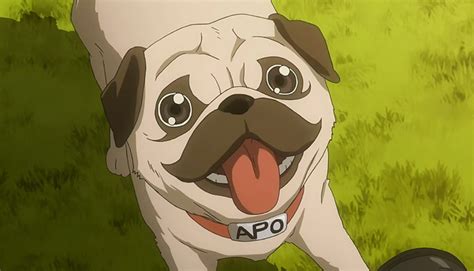 25 Best Anime Dogs Mans Best Friend In Anime Shows And Movies Fandomspot