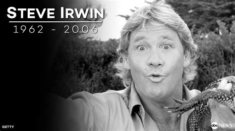 The T That Was Steve Irwin The Fine Art Of Parenting