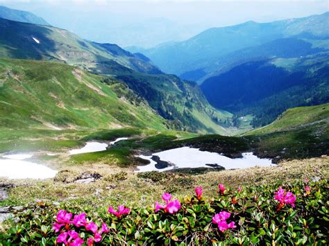 Parcul Național Munții Rodnei Peisaje De Vis La Taifas