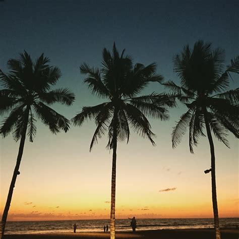 Free Images Palm Trees Sunset Bali Beach Ocean Sky Paradise