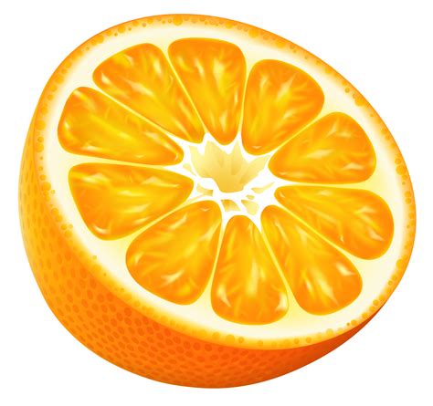 Half Orange Png Vector Clipart Image Clip Art Orange Free Clip Art