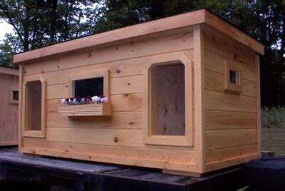 Check spelling or type a new query. A wood action: Woodworking projects dog house