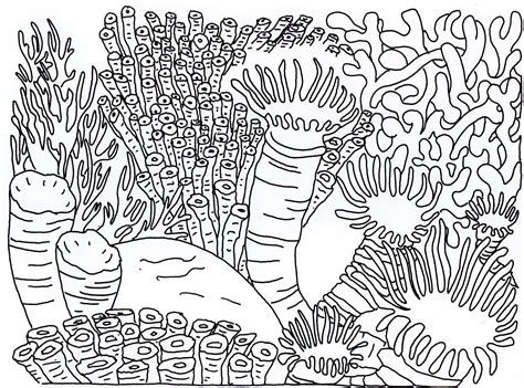 Coral reef community coloring page. Great Barrier Reef Coloring Page at GetColorings.com ...