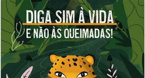 Lançada Cartilha Para Conscientizar Alunos Da Amazônia Sobre Queimadas
