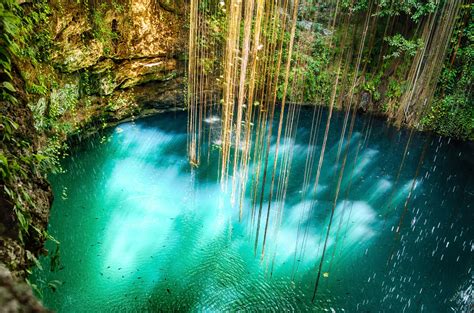Our Favorite Cenotes In The Yucatan Columbia Blog