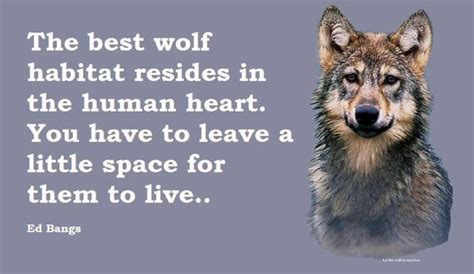 Timeline Photos Whispers From The Soul Facebook Animal Spirit