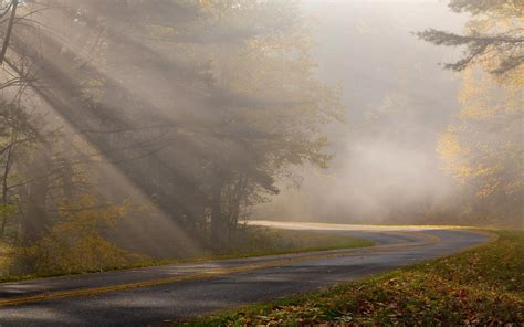 Beautiful Foggy Road Rfoggypics