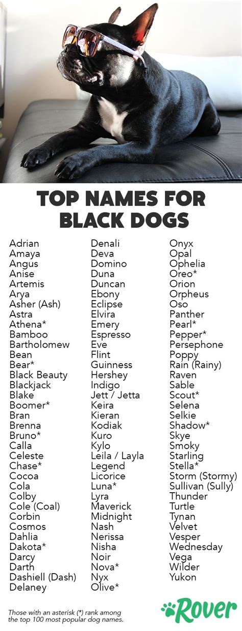 150 Black Dog Names That Shine Above The Rest Black Dog Names Cute