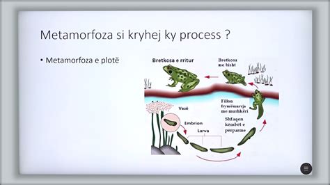 9 06 027 Java 14 Biologji Zhvillimi Embrional I Ujëtokësorve Dhe