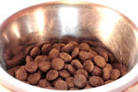 Diamond naturals beef meal & rice formula. Commercial Pet Food Recalls in the UK | The Canine ...