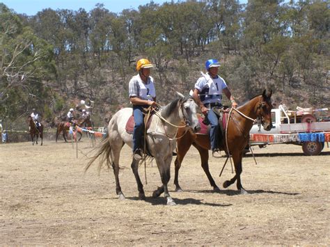 Mountain Cattlemen S Annual Get Together Wombat Crossing Men On