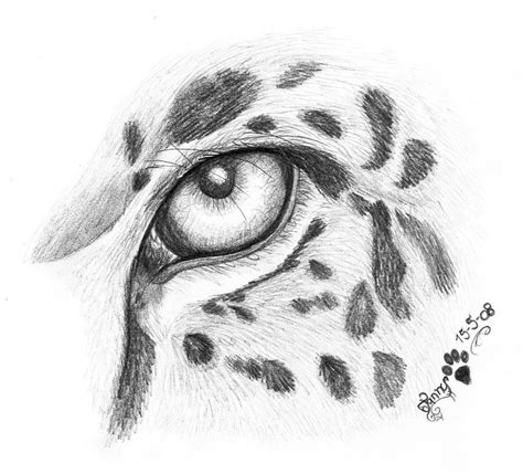 In an article titled, 'the bunyip', a newspaper reported on the drawings made by edwin stocqueler as he travelled on the murray and goulburn rivers: Jaguar eye by LarimarDragon on DeviantArt