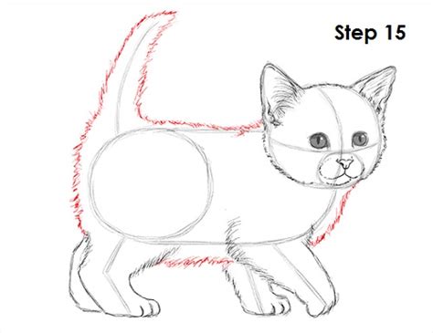 How To Draw A Kitten