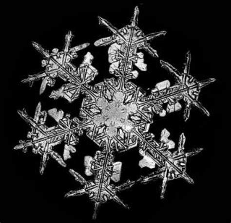 There Are Really 2 Identical Snowflakes Grander Uk