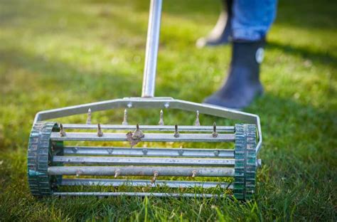 4 Easy Steps To Plant Grass Seed On Hard Dirt Fast