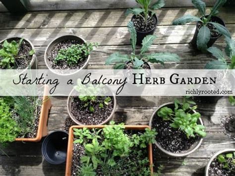 Balcony Herb Garden 8 Balcony Herb Garden Ideas You Would Like To Try