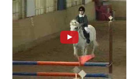 These Pony Jumpers Prove Size Doesnt Matter Heart Does The