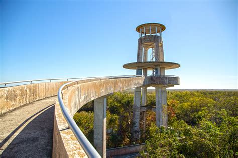 Shark Valley Observation Tower Stock Photo Download Image Now