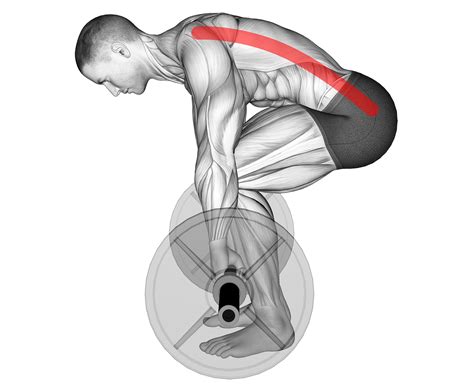 Lower Back Rounding Deadlift How To Fix Inspire Us