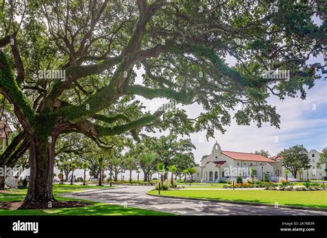 Live Oak Trees And Palm Trees Stand In Front Of A Spanish Colonial