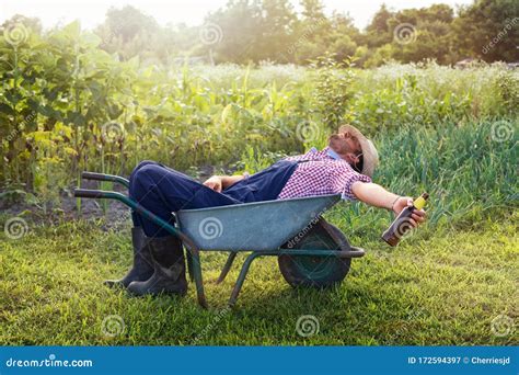 Young Male Farmer Is Relaxing In Wheelbarrow On The Green Garden Stock