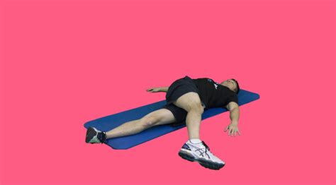 Adductor Longus Exercises Guides And Instructions Fitgag