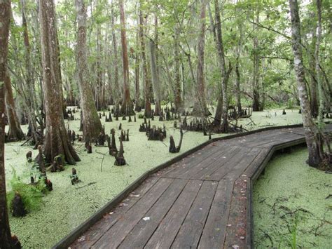 Here Are 11 Awesome Thing You Can Do In Louisiana Without Opening