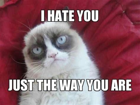 315 Best Tard The Grumpy Cat Images On Pinterest