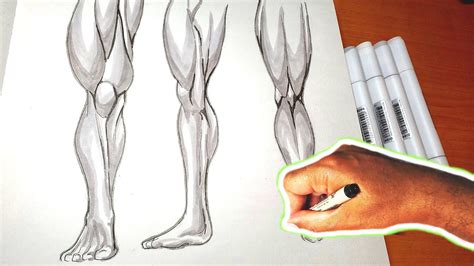 How To Draw Muscles Leg Muscles Art Tutorial Easy Anime Drawing