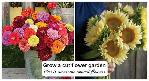 How To Plant And Grow A Cut Flower Garden Plus 5 Flowers To Get Started