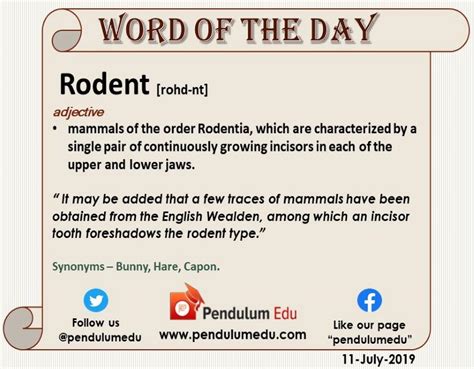 Word Of The Day By Pendulumedu English