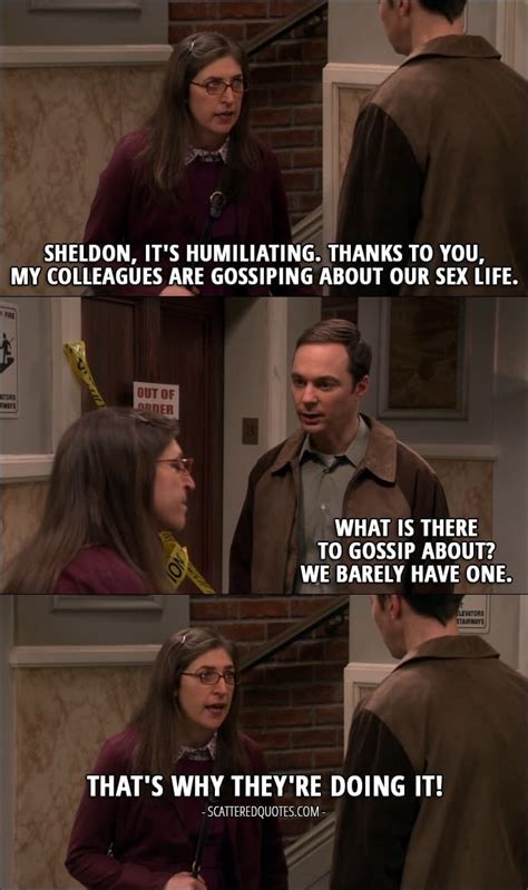 14 Best The Big Bang Theory Quotes From The Allowance Evaporation