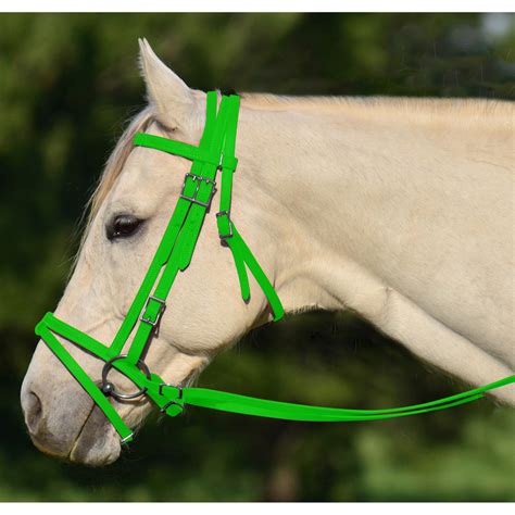 Shop Lime Green English Bridle With Cavesson Online At Two Horse Tack