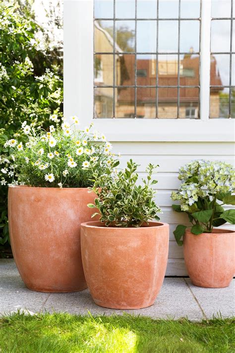 Terracotta Garden Pots And Planters Potted Plants Outdoor Terra Cotta