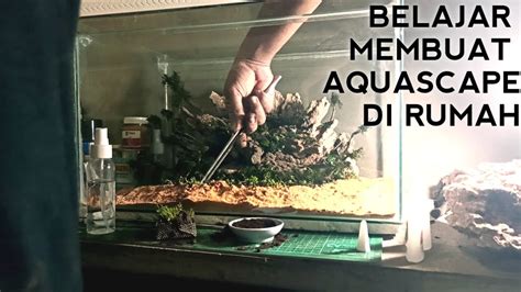 Cara merawat aquascape tanpa co2. CARA MEMBUAT AQUASCAPE UNTUK PEMULA - YouTube