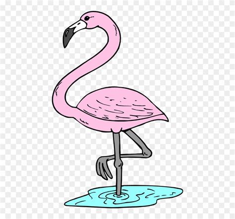 Flamingo Clipart Tropical Flamingo Transparent Flamingo