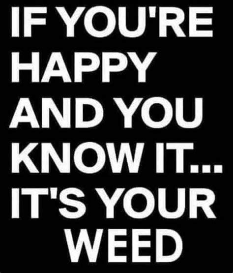 Funny Stoner Sayings And Quotes Shortquotescc