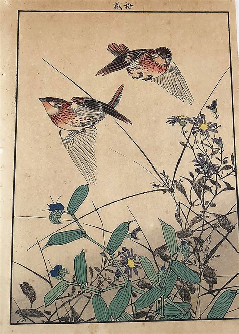 Japanese Woodblock Print Unsigned Artist Bird On A Bran
