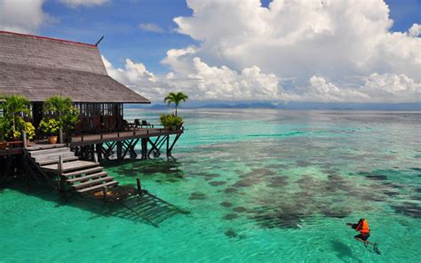 The statistics on tourism malaysia's website tell a reassuring story. Niche tourism eyed for Malaysia's travel bubble plan | TTG ...
