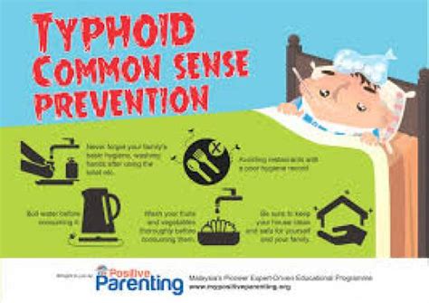 Demam Tifoid Typhoid Fever Rumah Sakit Umum Daerah