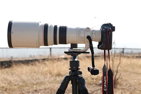 And it all starts with. How to Use a Gimbal Head on a Super Telephoto Lens ...