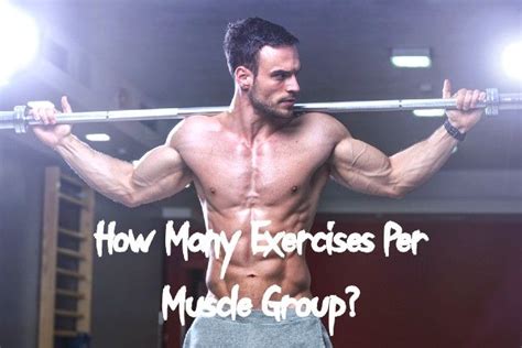 how many exercises per muscle group muscle groups exercise muscle