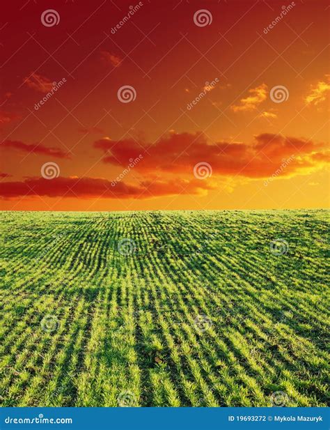 Green Field And Red Sunset Stock Photo Image Of Land 19693272