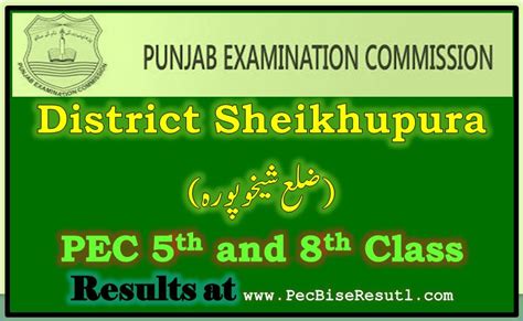 District Sheikhupura Pec 5th 8th Class Result 2018 Online Bise Result