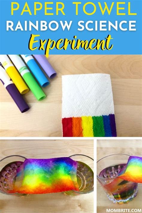 Easy Grow A Rainbow On Paper Towel Experiment Rainbow Activities