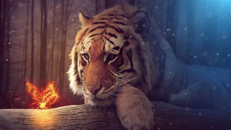 Hd Tiger 4k Fantasy Wallpaper 3840x2160 Rwallpaper