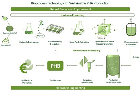 Bioengineering Free Full Text Bioprocess Engineering Aspects Of
