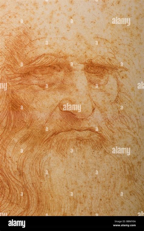 Self Portrait By Leonardo Da Vinci 1516 Red Chalk Stock Photo Alamy