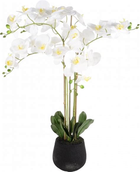 Bol Com Kunstplant Orchidee Wit 5 Tak H90cm